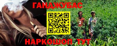 винт Гай