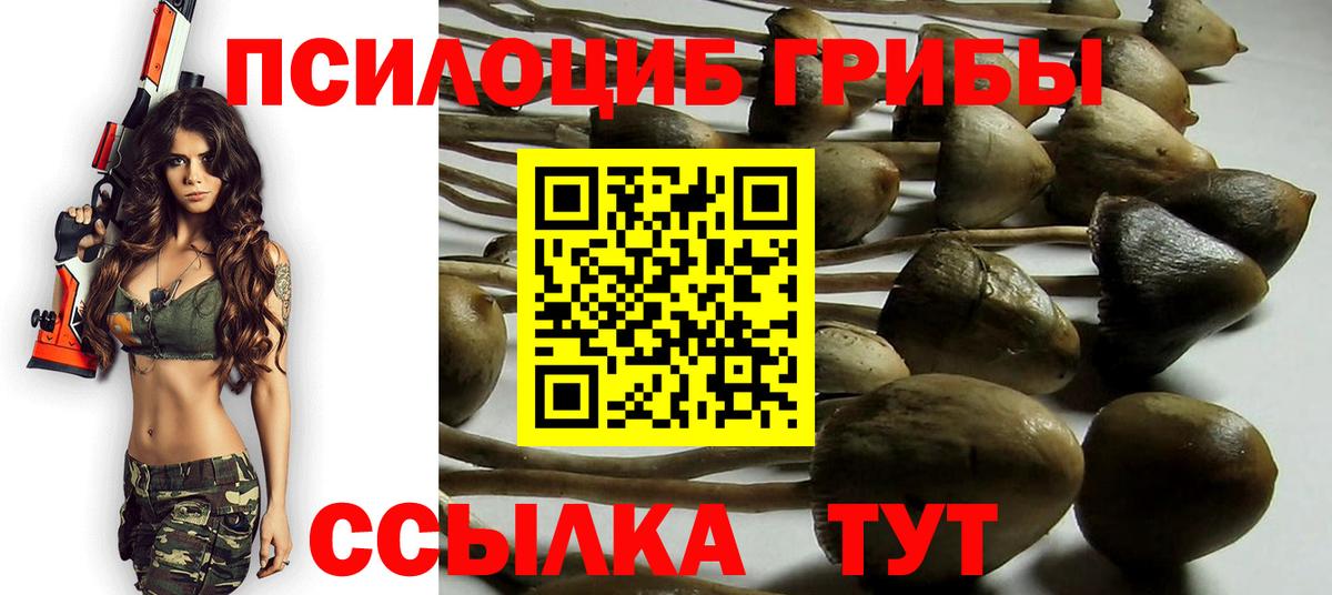 Галлюциногенные грибы прущие грибы  Галлюциногенные грибы Cubensis  Вход с VPN  Гусев 